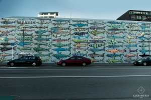 Street Art requins Wellington