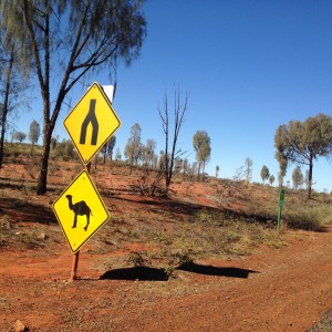 Attention aux chameaux - road sign - Australie