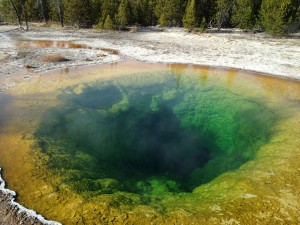 Morning Glory Pool - Old Faithful -Yellowstone