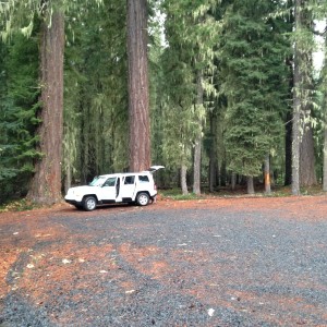 Thielsen forest camp -forêts de l'Oregon
