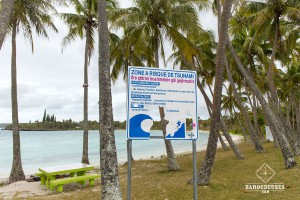 Tsunami road sign - Lifou