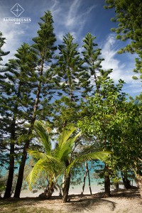 Paysages de Lifou - Nouvelle-Calédonie