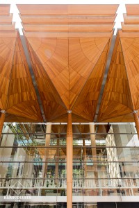 Centre-ville - Auckland - architecture