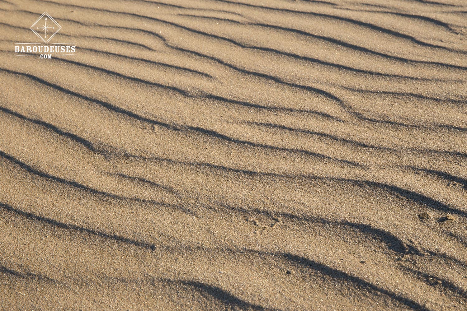 Earth Pattern - Sable - Northland