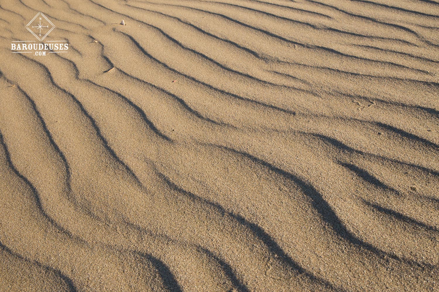 Earth Pattern - Sable - Northland