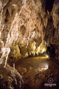 Première grotte visitée avec Spellbound Glowworm and Cave Tours