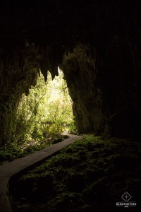 Sortie de la deuxième grotte visitée avec Spellbound Glowworm and Cave Tours