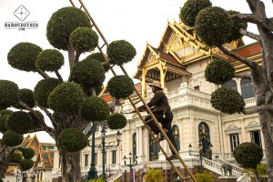 Grand Palais_jardinier - Bangkok