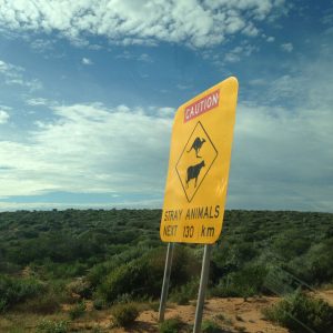 Animaux - roadsign - Outback
