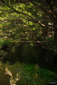 Ruisseau - Kamikochi