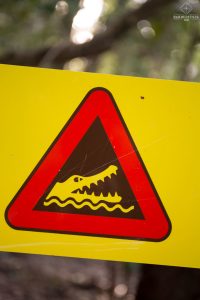 Roadsign Crocodiles - Cape Tribulation