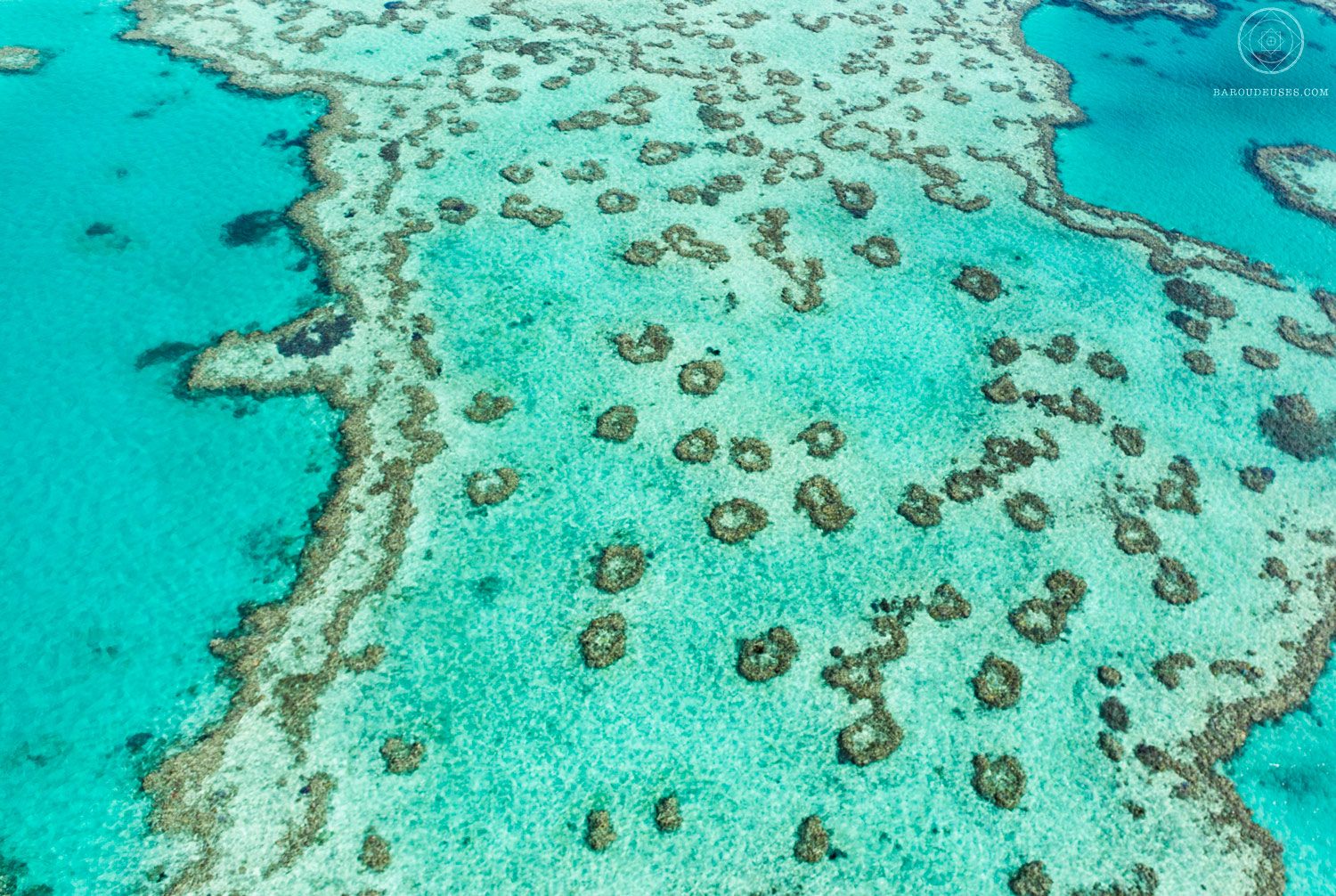 La grande barrière de corail, Australie, vue du ciel