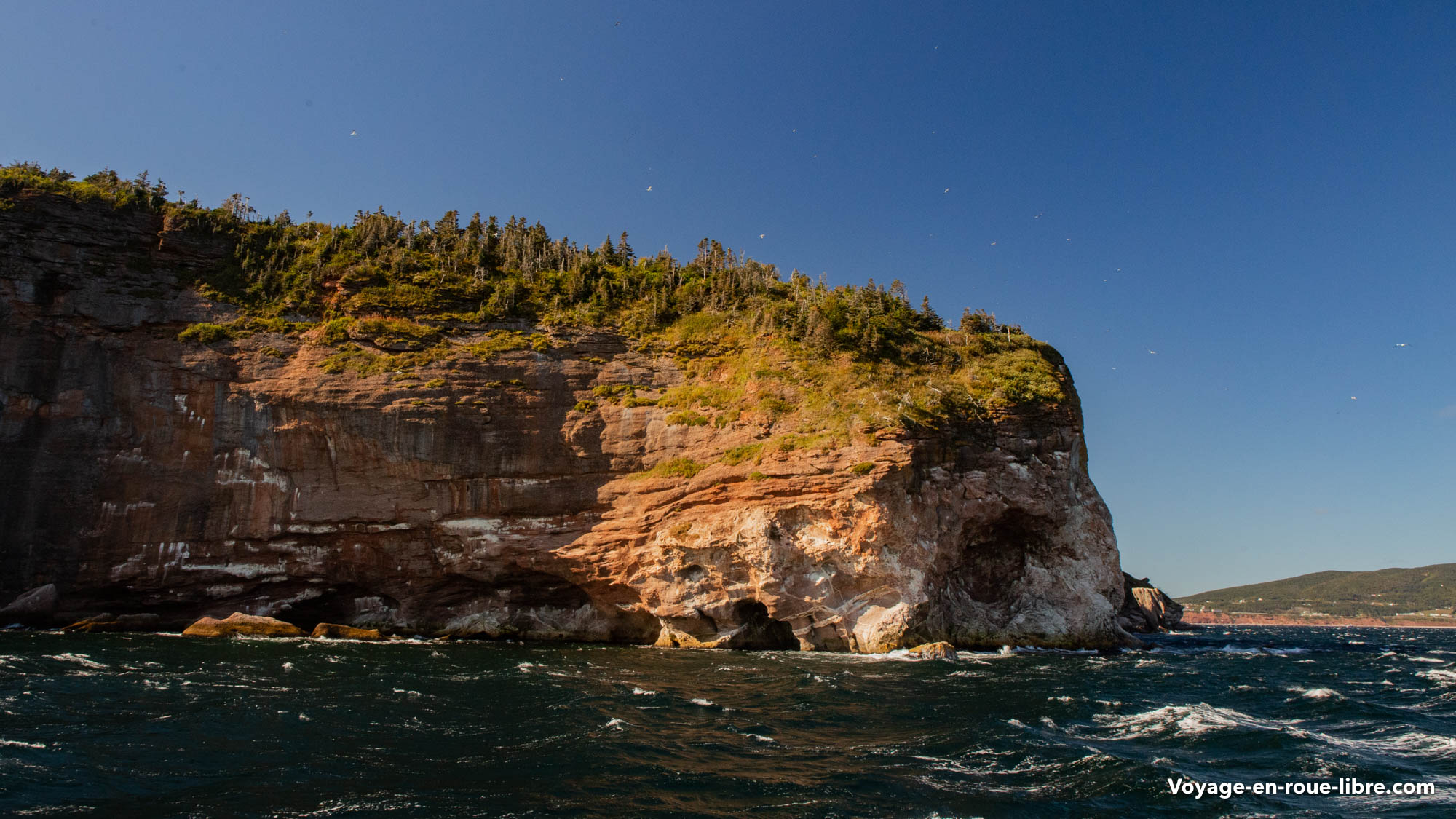 Île de Bonaventure Gaspésie Québec Voyage en roue libre