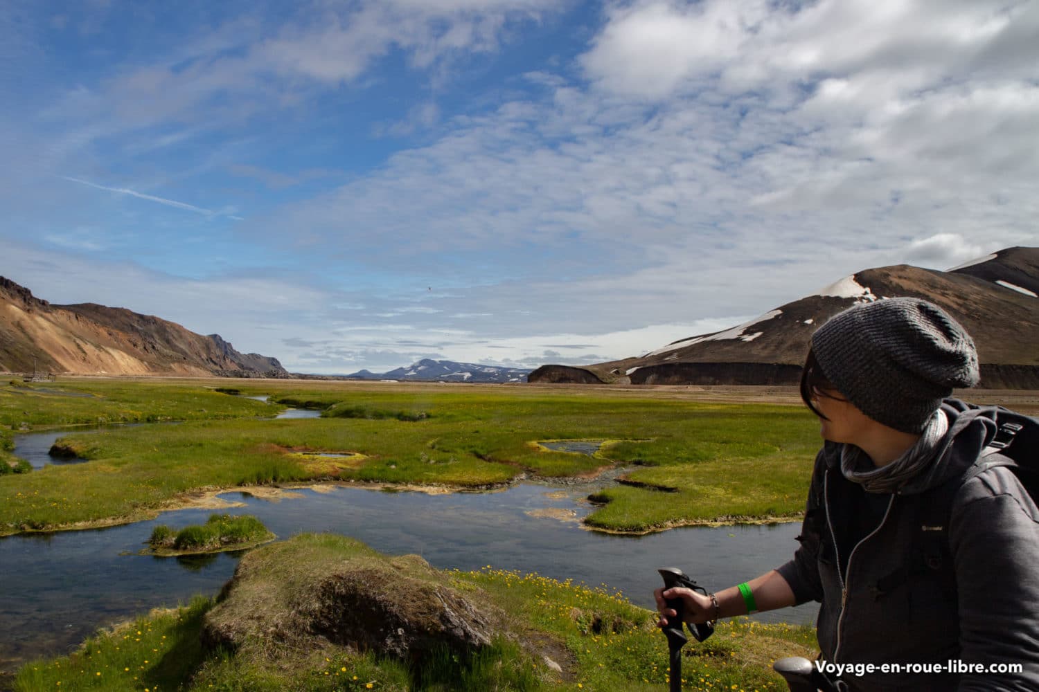 Mumu au Landmannalaugar