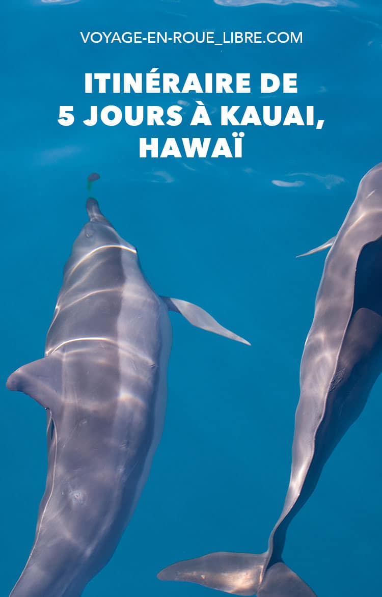 Découvrir l'île de Kauai à Hawaii en 5 jours. Partez à la découverte du grand canyon du Pacifique. 
Observez des baleines, dauphins et toute sa richesse marine !