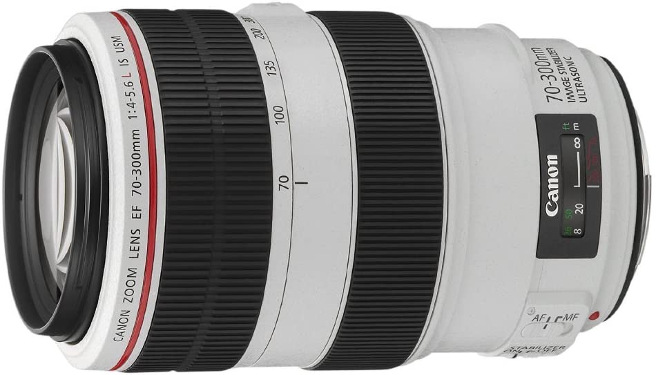 L'objectif Zoom Canon EF 70-300 mm, idéal pour de l'animalier à un prix très raisonnable pour sa catégorie.
